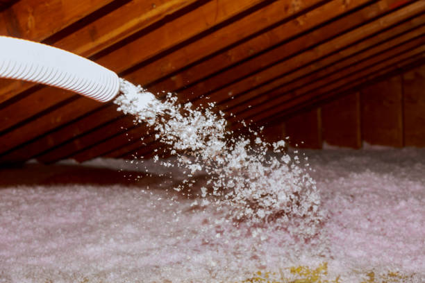 Best Residential Insulation in Mount Ayr, IA